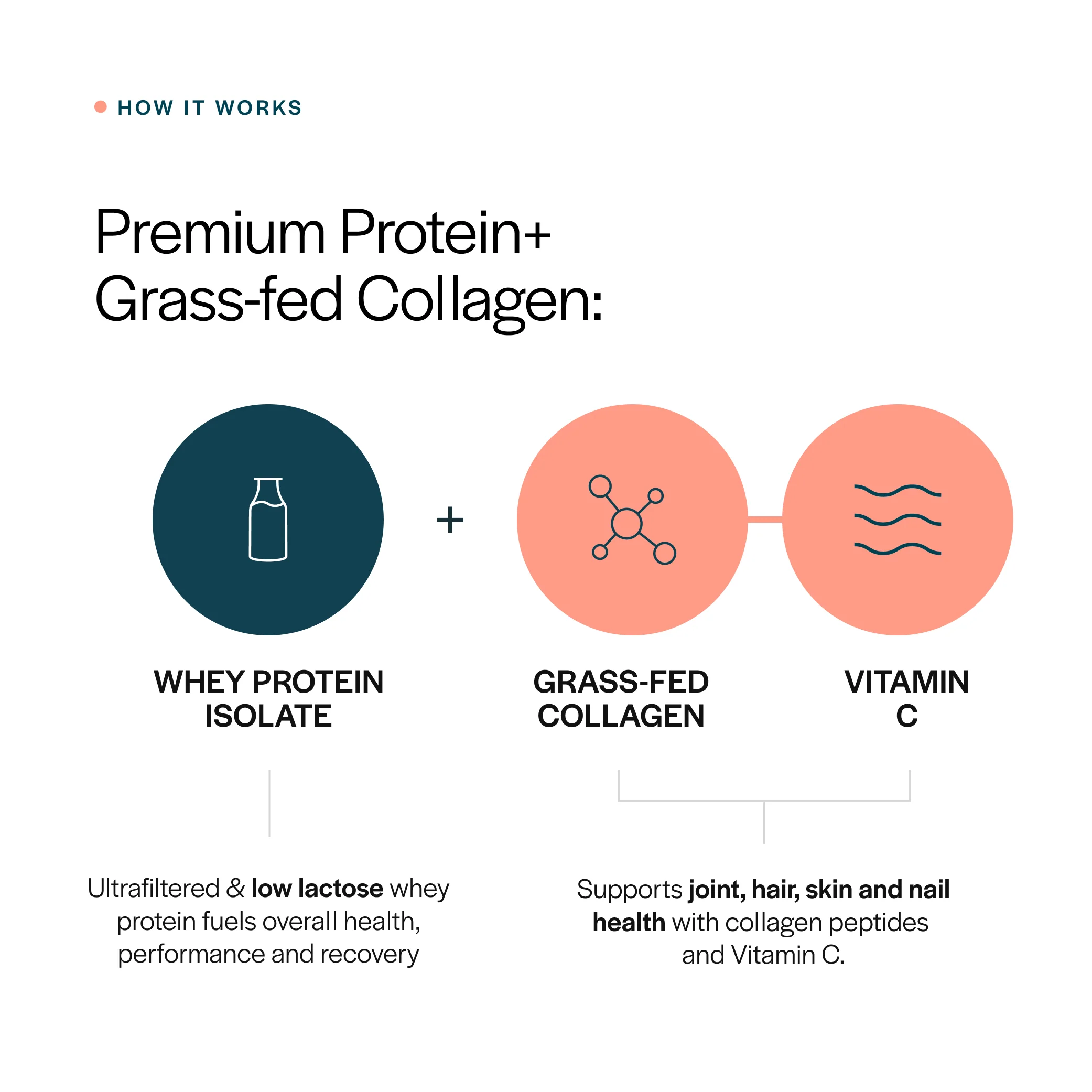Collagen Whey Protein - Image 3