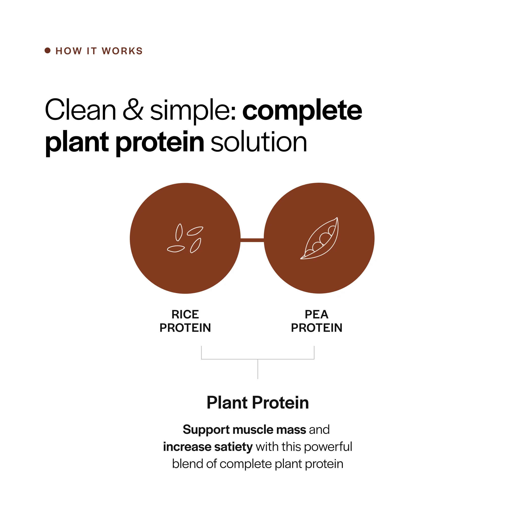 Everyday Plant Protein - Image 3
