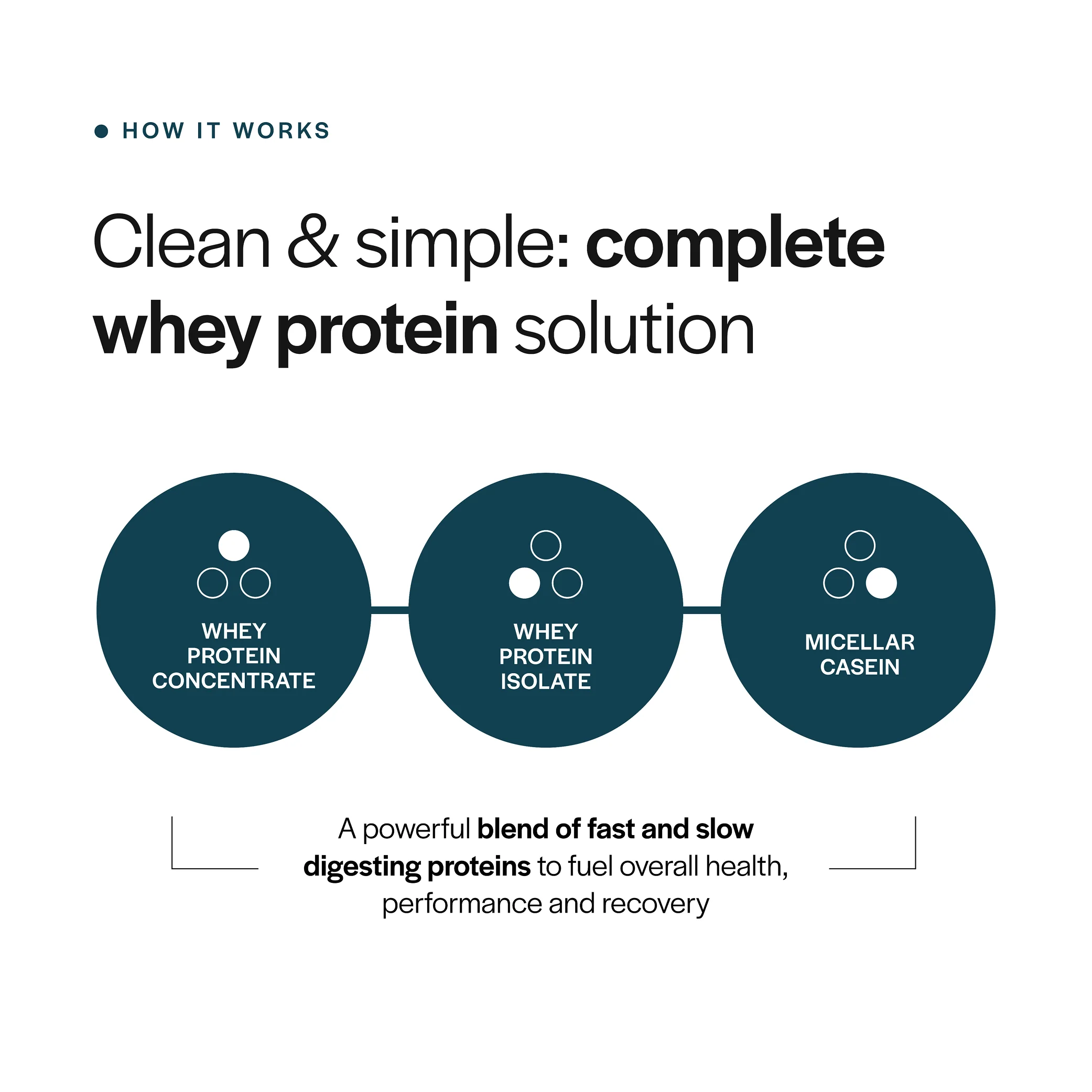Everyday Whey Protein - Image 3