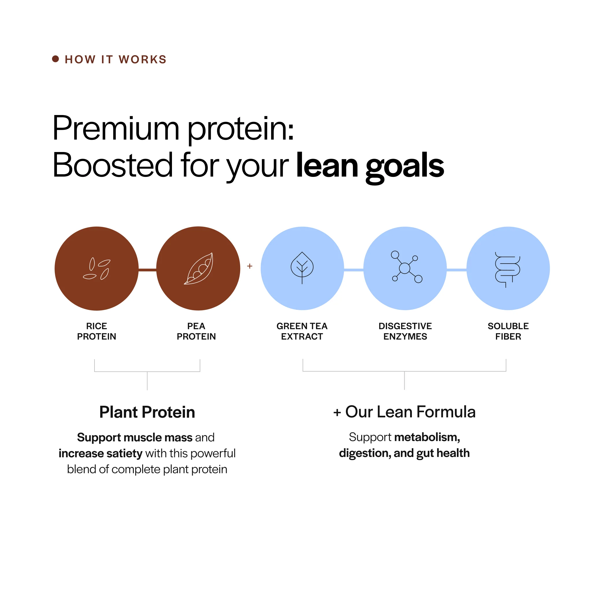 Lean Plant Protein - Image 3